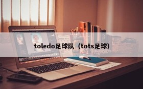 toledo足球队（tots足球）